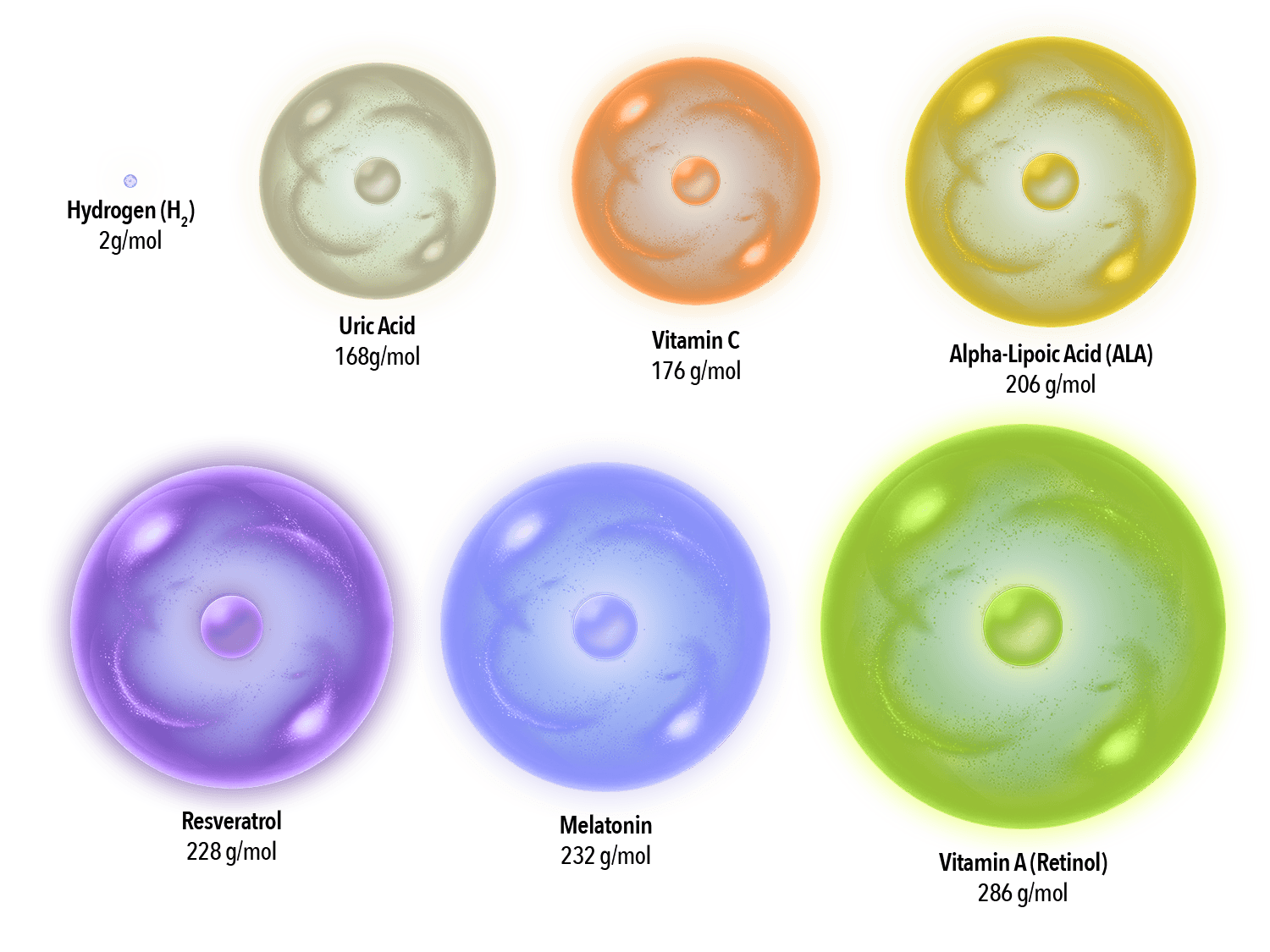 Antioxidant molecule size comparision