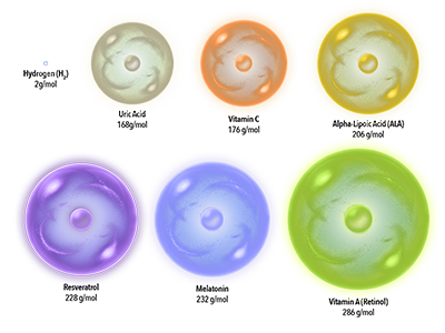Antioxidant molecule size comparision